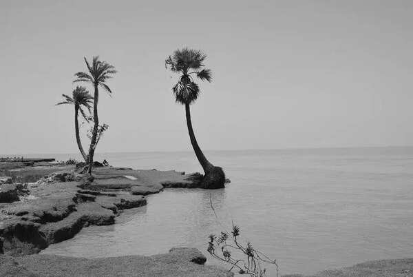 The unbuilt protection wall and the death of Hooghly estuary islands