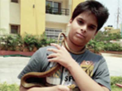 Boy, 12, comes to rescue of six adults cornered by snake