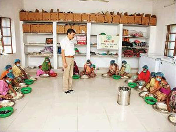 Sitafal adds sweetness to Udaipur tribals’ lives