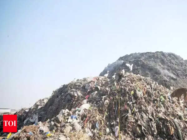 After zero response, TMC to refloat tenders for slum waste management