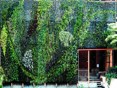 Airport’s ‘Tiger Wings’ brings nature indoors