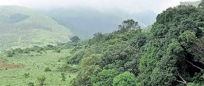 Karnataka: ‘Tax tourists to preserve Kodagu’s green’