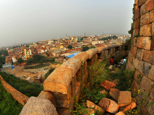 ID each person in, around Tughlaqabad Fort to remove squatters: Delhi HC