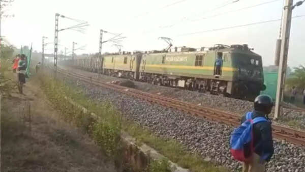 Tusker hit by train near Jarapada dies