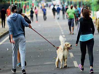 Cubbon Park flexes its muzzle power