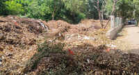 Insects, rodents, stench: Park in Gurgaon turns dumpsite as garden waste heaps up