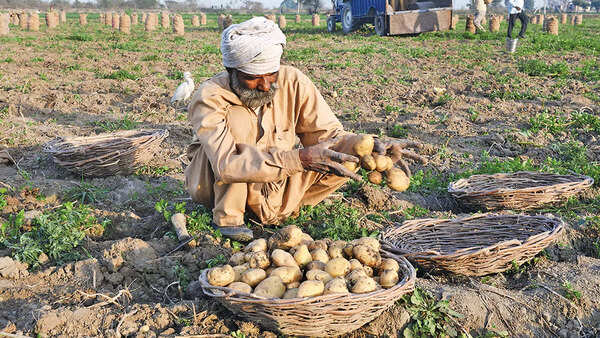 At 7.41% inflation, is it time to end free food programme