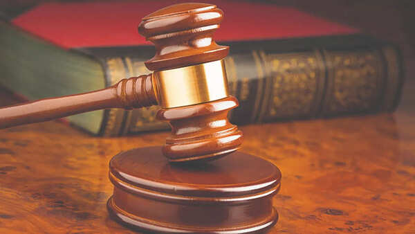Govt's 3-member panel to settle green disputes