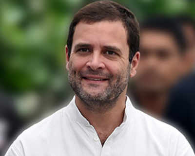 Rahul Gandhi in Ayodhya today, but will steer clear of Ram temple