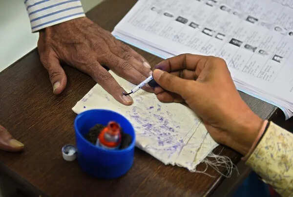 US citizen held at Chennai airport for voting in Tamil Nadu assembly polls