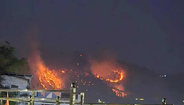 Forest fires in Bageshwar push wildlife into villages