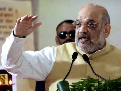 Need to rewrite history from India's point of view, says Amit Shah