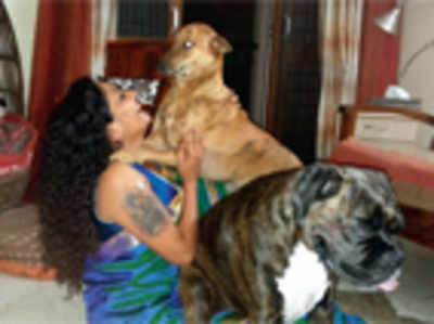 Pet Puja: Letting that love in