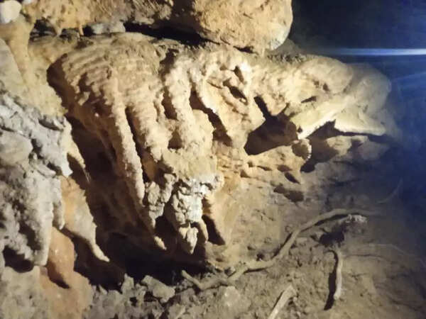 Rtd principal rediscovers long-forgotten cave near Pithoragarh