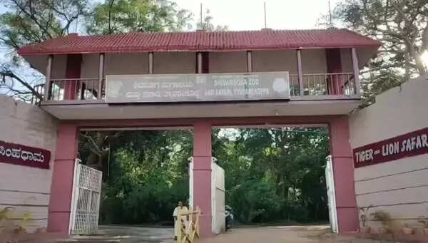 Karnataka zoos strengthen safety protocols after veterinarian death