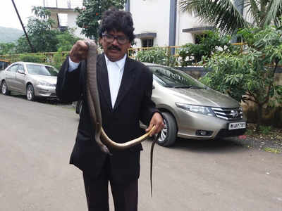 Rat snake bites Panvel judge in court chamber