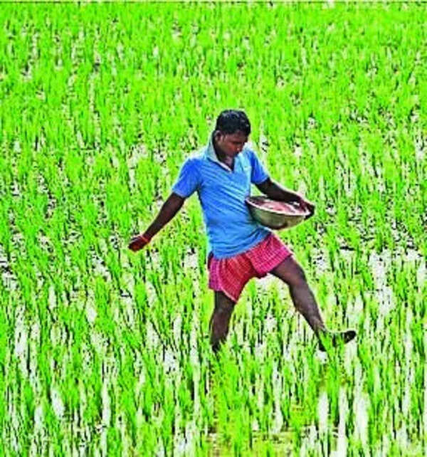 Telangana procures 40L MT of paddy so far