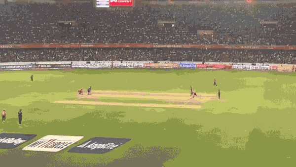 It’s not the size, it’s the science: How cricket bats got smarter