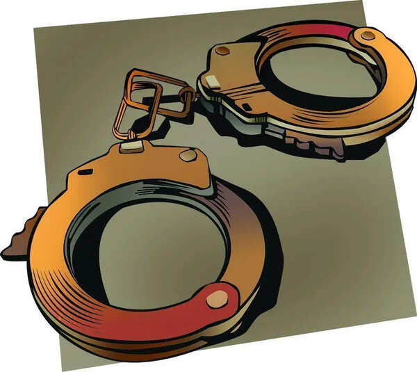 Woman creates ruckus at star hotel, assaults cops