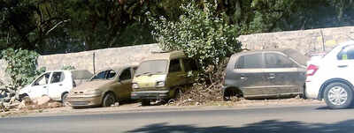 This is where all used, discarded cars go to die