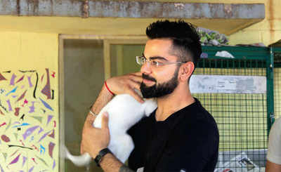 Virat Kohli passively adopts 15 dogs with special needs in Bengaluru