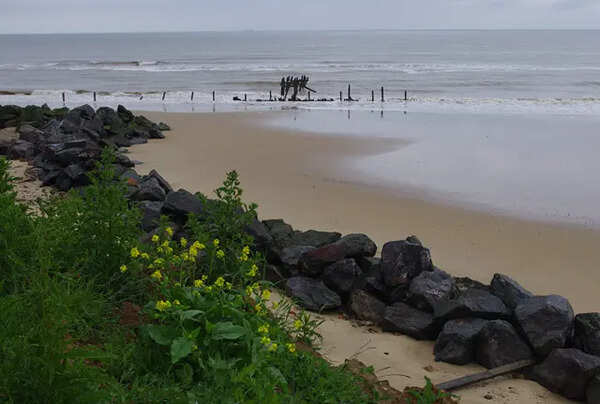 In 2000, a beach walk in Norfolk led to a 780,000-year-old clue that reshaped early human history