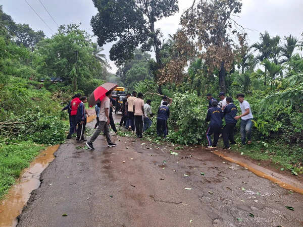 Heavy rain disrupts traffic and power in Kodagu