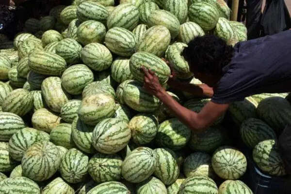UT gives clean chit to watermelons, for now