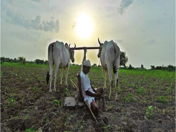 Farmers’ task force urges state to save ryots from dry spell
