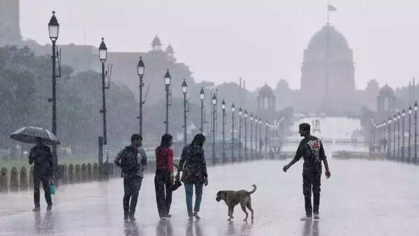 How Delhi's summer is changing: 3-fold rise in May rainfall in 75 years