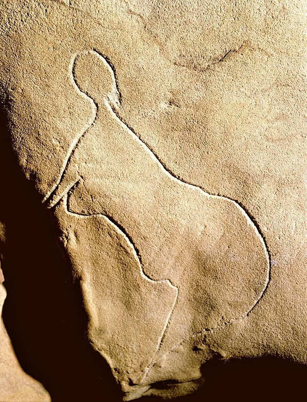 In 2000, an amateur explorer found a hidden cave in France filled with ancient art and burials