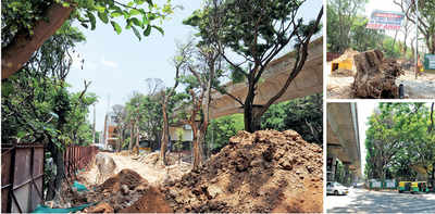 Jayanagar fights to save its trees