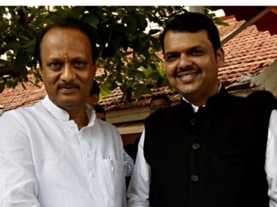 'We discussed weather and rainfall': Ajit Pawar on his meeting with Fadnavis after Maharashtra fiasco