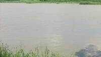Delhi: Water level of Yamuna rises following rains over past several days 