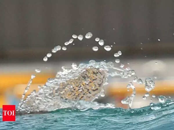Rainwater to be harvested at Andhra University to beat water scarcity