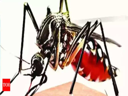 Recurrence of swine flu, dengue vexes SMC officials