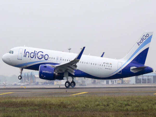 IndiGo flies high in the Gulf route