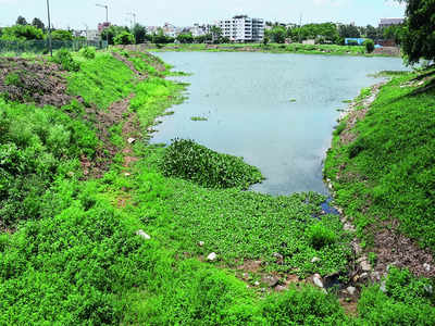 Troubled waters: Bengaluru’s Lake pollution puzzle: Who is to blame?