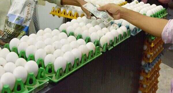 Egg scare: Seasonal fruits to dominate midday meals