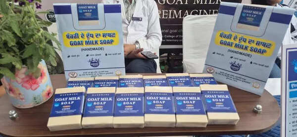 Goat milk soap can bring glow to dairies: Gadvasu