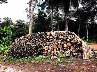 Answers sought on rising forest grab