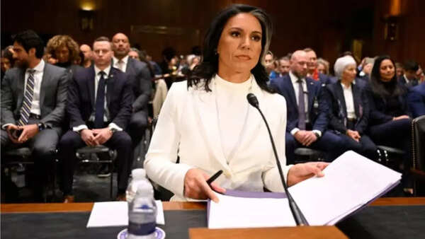 Tulsi Gabbard's office denies report of CIA raid at office after Whistleblowers explosive claim