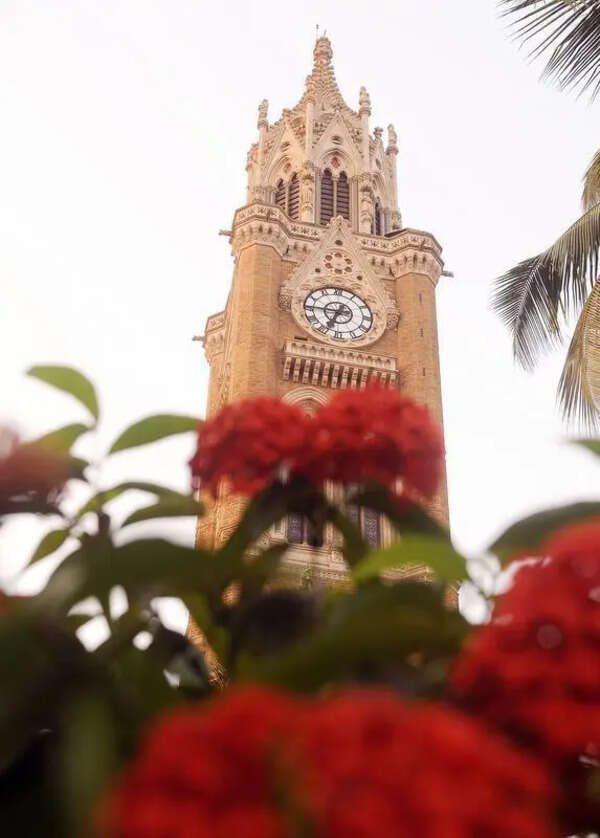 Mumbai University’s temporary employee on the run in BCom paper leak case