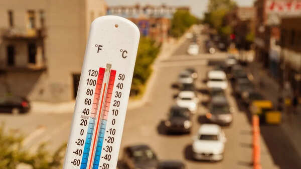 Travel alert: From heat wave in Rajasthan to heavy rain in West Bengal and Northeast—what to expect