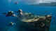 108-year-old World War I mystery solved: Lost US warship Tampa finally found off UK coast