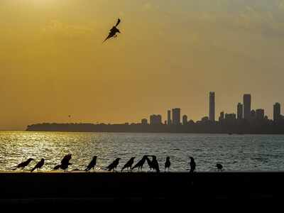 At 34 degrees Celsius, Mumbai continues to see clear skies