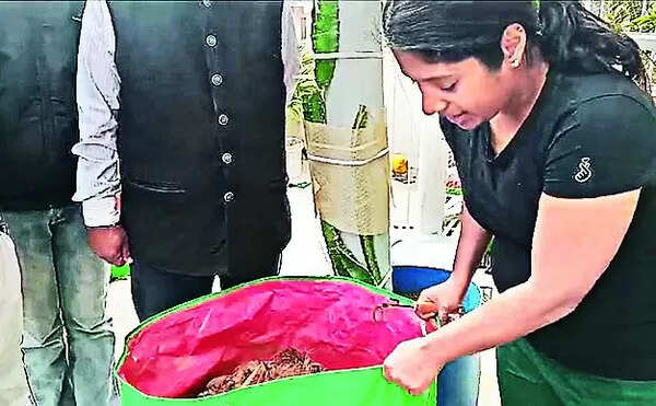 City residents take up home composting