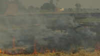 ‘Don’t want to burn stubble, but there’s no alternative,’ says Amritsar farmer 