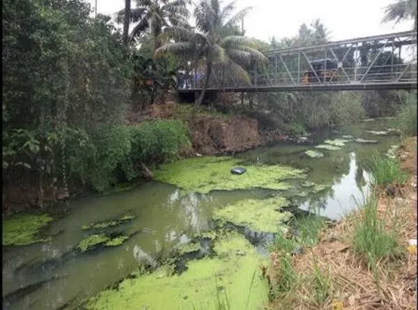 Encroachments, dumping choke revival of Thettiyar