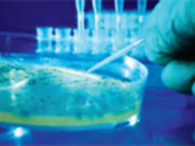 Researcher discovers new drug-resistant salmonella strain